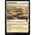 Magic: The Gathering Drifting Meadow (292) Lightly Played