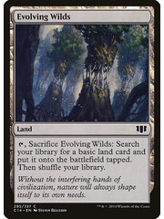 Magic: The Gathering Evolving Wilds (295) Heavily Played
