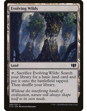 Magic: The Gathering Evolving Wilds (295) Heavily Played