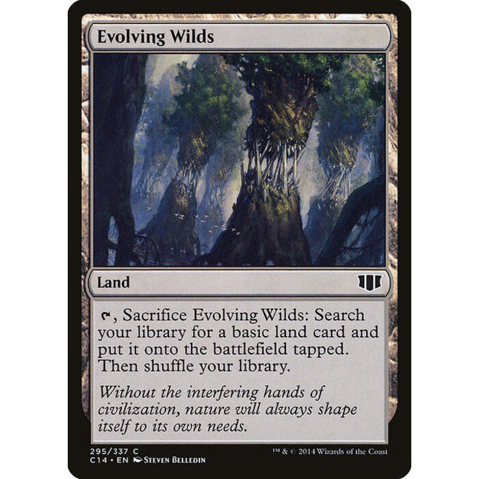 Magic: The Gathering Evolving Wilds (295) Heavily Played