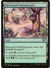 Magic: The Gathering Havenwood Battleground (301) Lightly Played