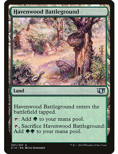 Magic: The Gathering Havenwood Battleground (301) Lightly Played
