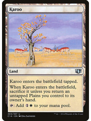 Magic: The Gathering Karoo (303) Lightly Played
