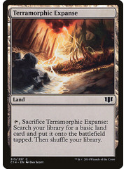Magic: The Gathering Terramorphic Expanse (315) Lightly Played