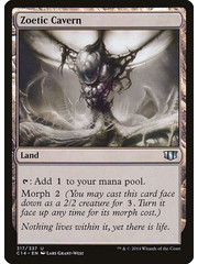 Magic: The Gathering Zoetic Cavern (317) Lightly Played