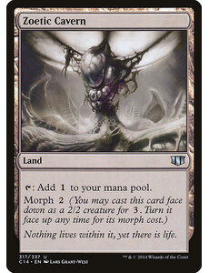 Magic: The Gathering Zoetic Cavern (317) Lightly Played
