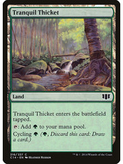 Magic: The Gathering Tranquil Thicket (316) Heavily Played