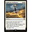Magic: The Gathering Righteous Confluence (007) Lightly Played