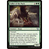 Magic: The Gathering Caller of the Pack (034) Moderately Played