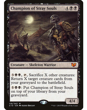 Magic: The Gathering Champion of Stray Souls (119) Moderately Played