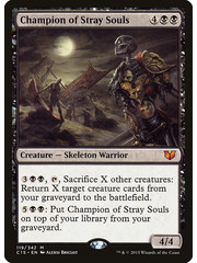 Magic: The Gathering Champion of Stray Souls (119) Lightly Played