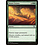 Magic: The Gathering Desert Twister (181) Lightly Played