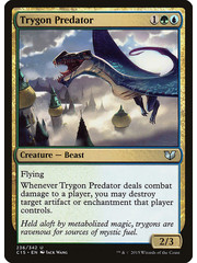 Magic: The Gathering Trygon Predator (236) Lightly Played