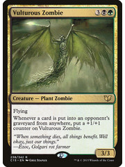Magic: The Gathering Vulturous Zombie (238) Moderately Played