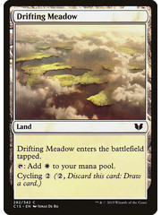 Magic: The Gathering Drifting Meadow (282) Lightly Played
