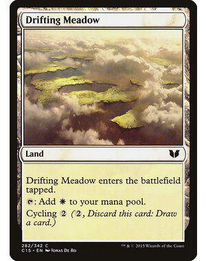 Magic: The Gathering Drifting Meadow (282) Lightly Played