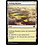 Magic: The Gathering Drifting Meadow (282) Lightly Played