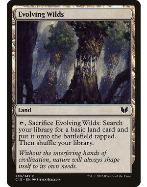 Magic: The Gathering Evolving Wilds (283) Lightly Played