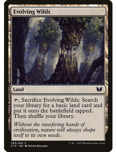Magic: The Gathering Evolving Wilds (283) Moderately Played