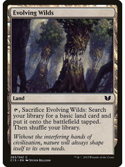Magic: The Gathering Evolving Wilds (283) Near Mint