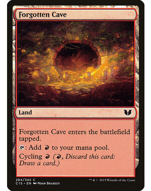 Magic: The Gathering Forgotten Cave (284) Lightly Played