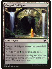 Magic: The Gathering Golgari Guildgate (286) Lightly Played