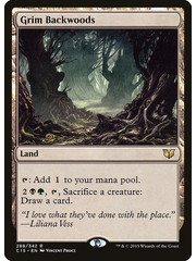 Magic: The Gathering Grim Backwoods (288) Lightly Played
