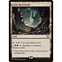 Magic: The Gathering Grim Backwoods (288) Lightly Played
