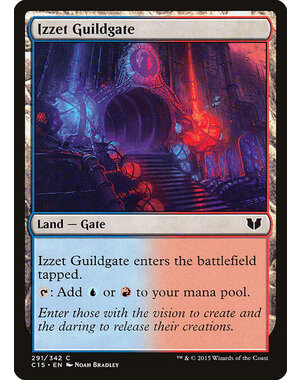 Magic: The Gathering Izzet Guildgate (291) Lightly Played