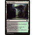 Magic: The Gathering Jungle Hollow (292) Lightly Played