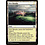 Magic: The Gathering New Benalia (295) Lightly Played