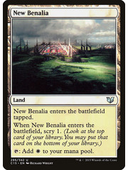 Magic: The Gathering New Benalia (295) Moderately Played