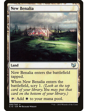 Magic: The Gathering New Benalia (295) Moderately Played