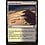 Magic: The Gathering Scoured Barrens (303) Lightly Played
