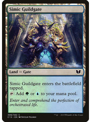 Magic: The Gathering Simic Guildgate (306) Lightly Played