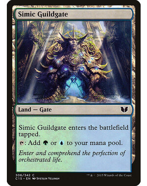 Magic: The Gathering Simic Guildgate (306) Lightly Played