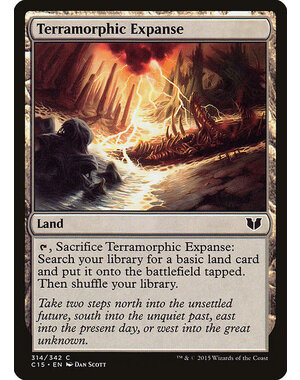 Magic: The Gathering Terramorphic Expanse (314) Lightly Played