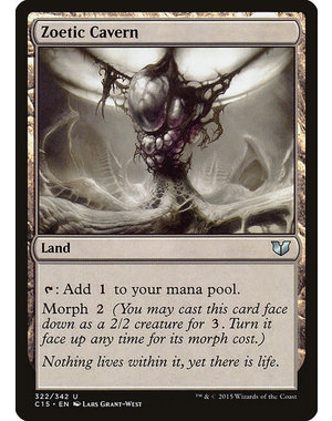 Magic: The Gathering Zoetic Cavern (322) Lightly Played