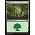 Magic: The Gathering Forest (339) Lightly Played