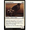 Magic: The Gathering Abzan Falconer (057) Lightly Played