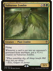 Magic: The Gathering Vulturous Zombie (228) Lightly Played