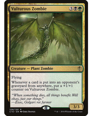 Magic: The Gathering Vulturous Zombie (228) Lightly Played