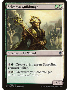 Magic: The Gathering Selesnya Guildmage (235) Lightly Played
