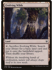 Magic: The Gathering Evolving Wilds (294) Lightly Played