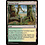 Magic: The Gathering Krosan Verge (306) Moderately Played