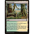 Magic: The Gathering Krosan Verge (306) Moderately Played
