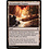Magic: The Gathering Terramorphic Expanse (332) Lightly Played