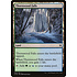 Magic: The Gathering Thornwood Falls (333) Lightly Played
