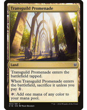 Magic: The Gathering Transguild Promenade (334) Lightly Played