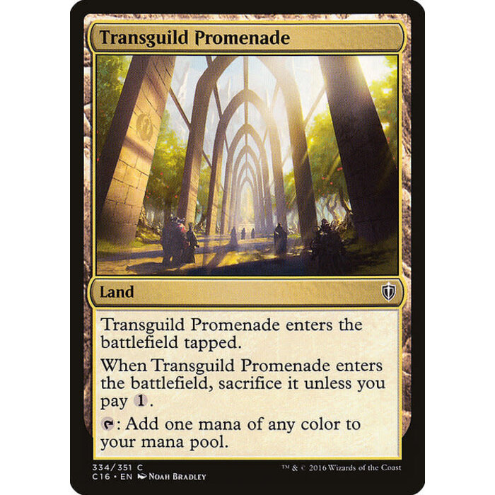 Magic: The Gathering Transguild Promenade (334) Lightly Played